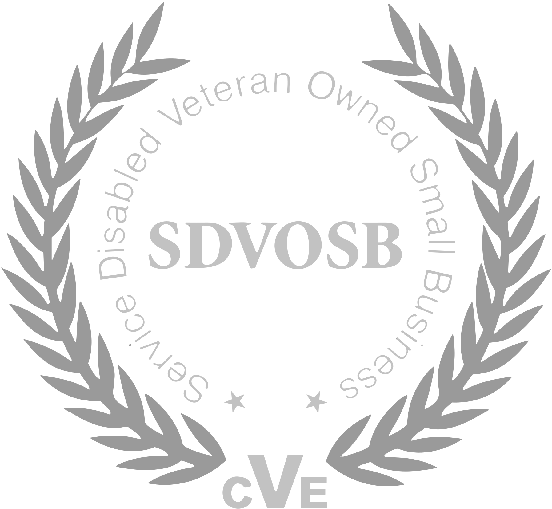SDVOSB